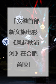 安徽首部新文旅电影《风起秋浦河》在合肥首映