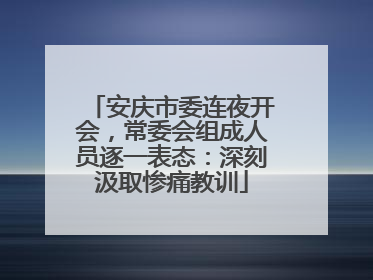 安庆市委连夜开会，常委会组成人员逐一表态：深刻汲取惨痛教训