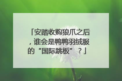 安踏收购狼爪之后，谁会是鸭鸭羽绒服的“国际跳板”？