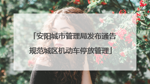 安阳城市管理局发布通告规范城区机动车停放管理