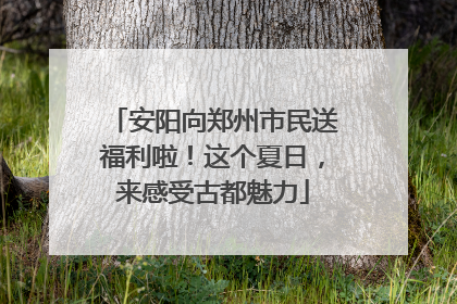 安阳向郑州市民送福利啦！这个夏日，来感受古都魅力