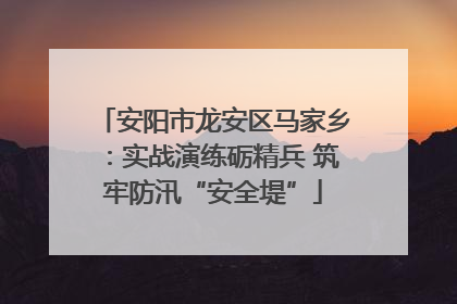 安阳市龙安区马家乡：实战演练砺精兵 筑牢防汛“安全堤”