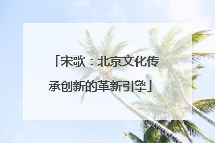 宋歌：北京文化传承创新的革新引擎