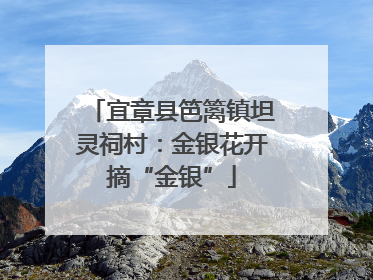宜章县笆篱镇坦灵祠村：金银花开摘“金银”