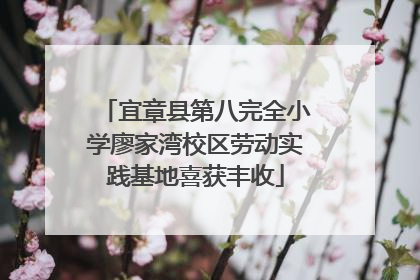 宜章县第八完全小学廖家湾校区劳动实践基地喜获丰收