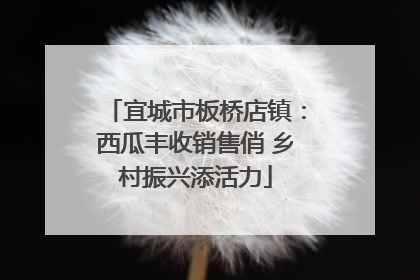 宜城市板桥店镇：西瓜丰收销售俏 乡村振兴添活力