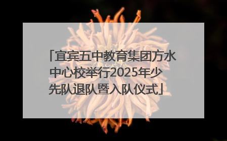 宜宾五中教育集团方水中心校举行2025年少先队退队暨入队仪式