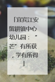 宜宾江安留耕镇中心幼儿园：“芒”有所获，学有所得