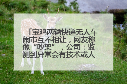 宝鸡两辆快递无人车闹市互不相让，网友称像“吵架”，公司：监测到异常会有技术或人为干预处置