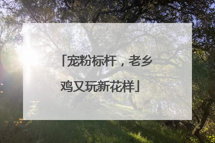 宠粉标杆，老乡鸡又玩新花样