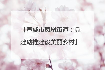 宣威市凤凰街道：党建助推建设美丽乡村