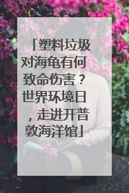 塑料垃圾对海龟有何致命伤害？世界环境日，走进开普敦海洋馆