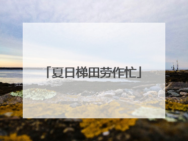夏日梯田劳作忙