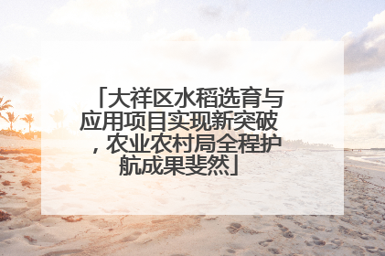 大祥区水稻选育与应用项目实现新突破，农业农村局全程护航成果斐然