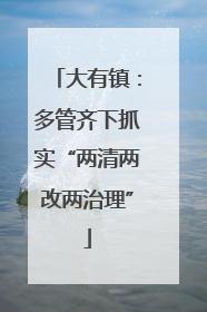大有镇：多管齐下抓实“两清两改两治理”