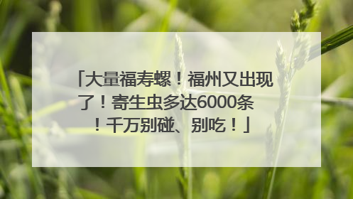 大量福寿螺！福州又出现了！寄生虫多达6000条！千万别碰、别吃！
