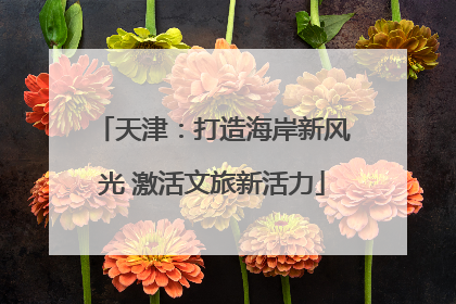 天津：打造海岸新风光 激活文旅新活力