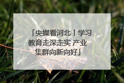 央媒看河北丨学习教育走深走实 产业集群向新向好