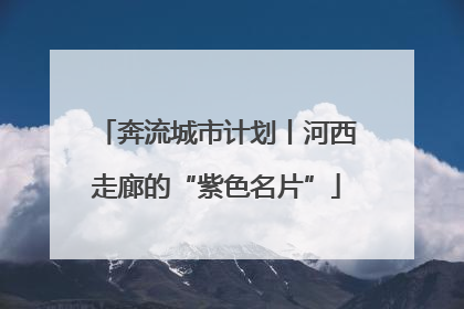 奔流城市计划丨河西走廊的“紫色名片”