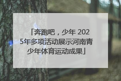 奔跑吧，少年 2025年多项活动展示河南青少年体育运动成果