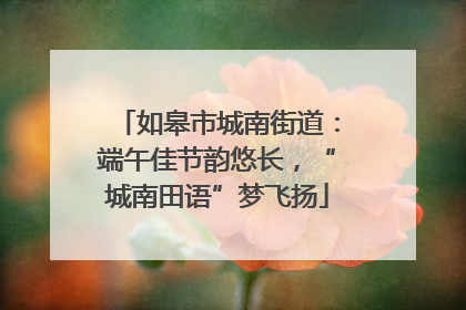如皋市城南街道：端午佳节韵悠长，“城南田语”梦飞扬