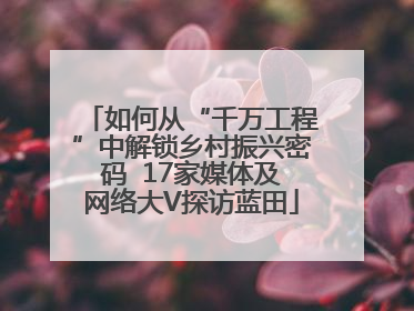如何从“千万工程”中解锁乡村振兴密码  17家媒体及网络大V探访蓝田