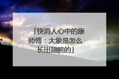 快消人心中的康师傅：大象是怎么长出翅膀的