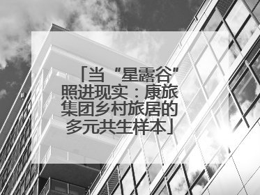 当“星露谷”照进现实：康旅集团乡村旅居的多元共生样本