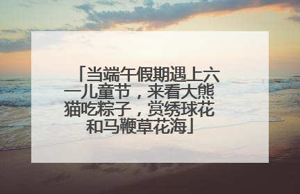 当端午假期遇上六一儿童节，来看大熊猫吃粽子，赏绣球花和马鞭草花海