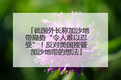 德国外长称加沙地带局势“令人难以忍受”！反对美国接管加沙地带的想法