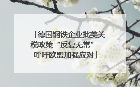 德国钢铁企业批美关税政策“反复无常” 呼吁欧盟加强应对