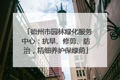 德州市园林绿化服务中心：抗旱、修剪、防治，精细养护保绿荫