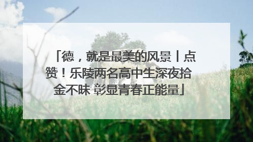 德，就是最美的风景丨点赞！乐陵两名高中生深夜拾金不昧 彰显青春正能量