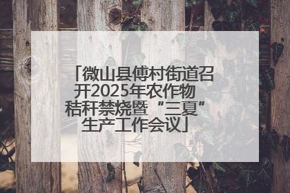 微山县傅村街道召开2025年农作物秸秆禁烧暨“三夏”生产工作会议