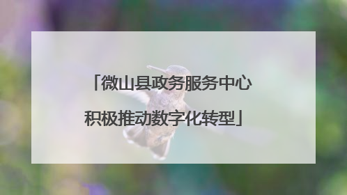 微山县政务服务中心积极推动数字化转型