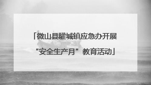 微山县驩城镇应急办开展“安全生产月”教育活动