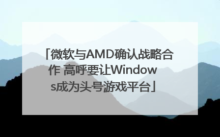 微软与AMD确认战略合作 高呼要让Windows成为头号游戏平台
