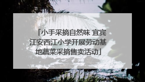 小手采摘自然味 宜宾江安西江小学开展劳动基地蔬菜采摘售卖活动