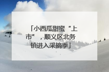 小西瓜甜蜜“上市”，顺义区北务镇进入采摘季