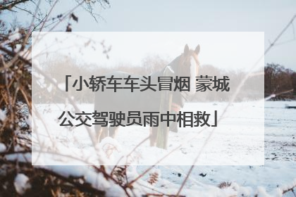 小轿车车头冒烟 蒙城公交驾驶员雨中相救