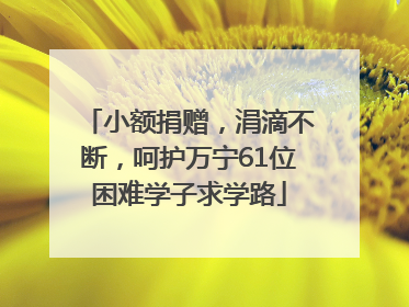 小额捐赠，涓滴不断，呵护万宁61位困难学子求学路