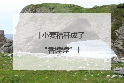 小麦秸秆成了“香饽饽”