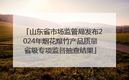 山东省市场监管局发布2024年烟花爆竹产品质量省级专项监督抽查结果