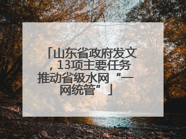 山东省政府发文，13项主要任务推动省级水网“一网统管”