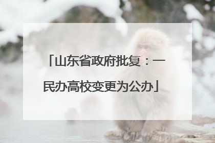 山东省政府批复：一民办高校变更为公办