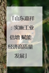 山东嘉祥：实施工业倍增 赋能经济高质量发展