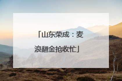 山东荣成：麦浪翻金抢收忙