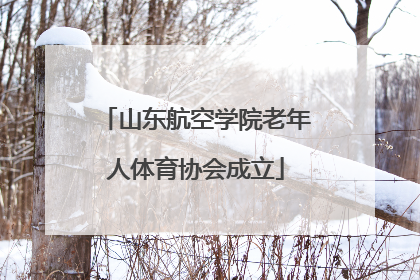 山东航空学院老年人体育协会成立