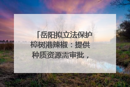 岳阳拟立法保护樟树港辣椒：提供种质资源需审批，违规最高罚5万
