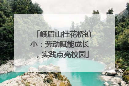 峨眉山桂花桥镇小：劳动赋能成长，实践点亮校园